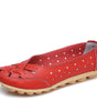 Ballerines En Cuir Microfibre Confortables Pour Femme | Idéales pour le Quotidien - Emilia Lane
